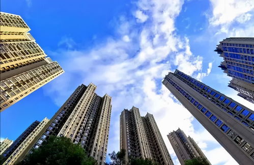 房地产暴雷后的保命之战 一场残酷的“鱿鱼游戏”