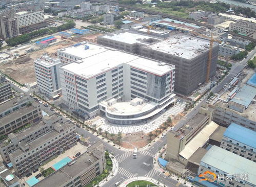 重点项目建设加速，彰显白云发展活力